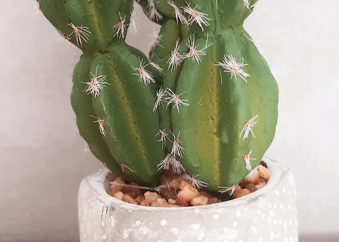 بيت ضيافة Allegria 3*